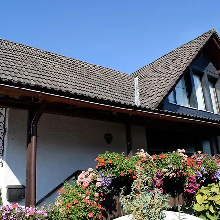 Apartmenthaus - Haus Am Schultal, Braunlage Exterior photo
