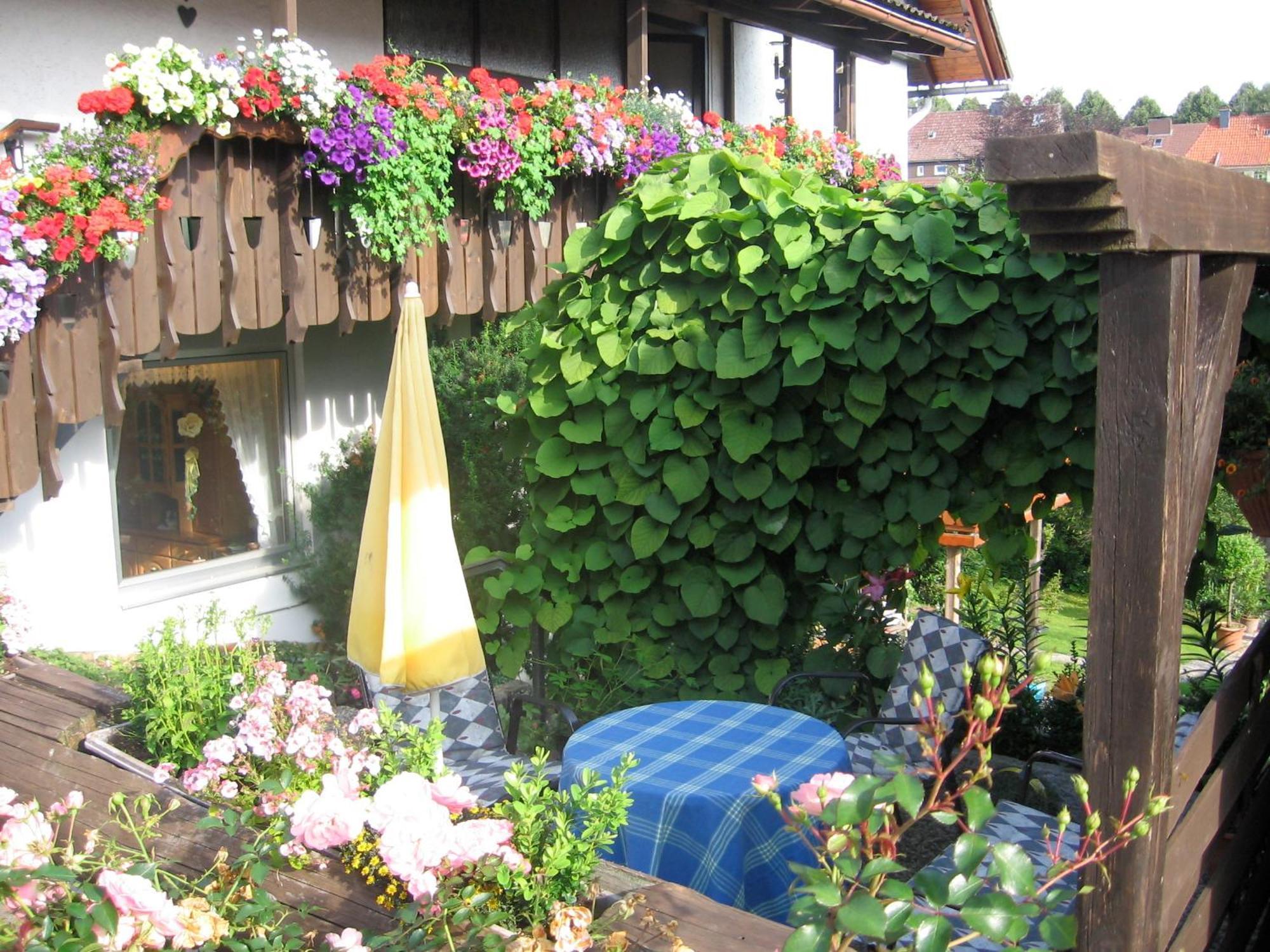 Apartment Apartmenthaus - Haus Am Schultal, *